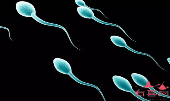 湛江50岁试管助孕-精子质量差的第二代试管婴儿的成功率高吗？