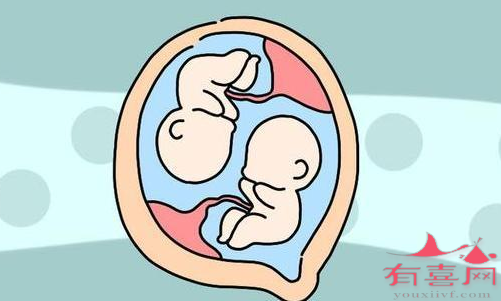 襄阳供卵助孕双胞胎：两个卵泡能产生双胞胎吗？