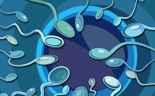 Y精子分离术是什么