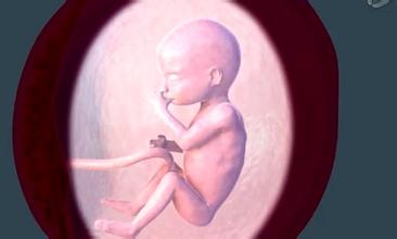 胎芽长度计算孕周