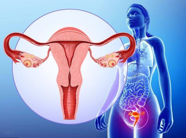 卵巢癌的形成需要几年