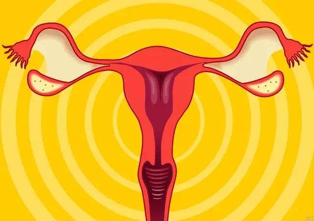 卵巢畸胎瘤会复发吗