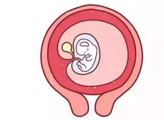 妊娠囊怎么变化