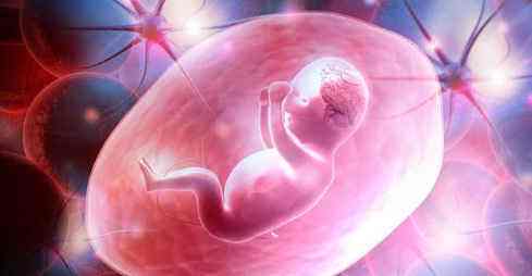 胎儿发育停止的症状有哪些
