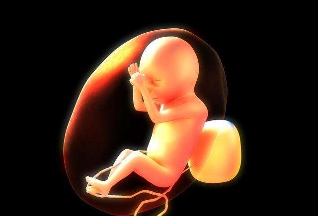 胚胎移植几天能测出来