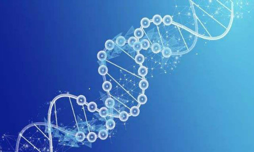男性精子DNA碎片检查有必要吗