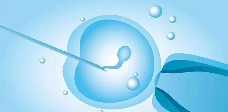 19个卵泡能配几个胚胎