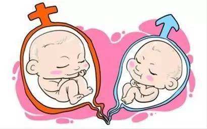双子宫对胎儿发育有影响吗