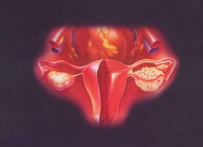 有单角子宫影响胚胎着床吗