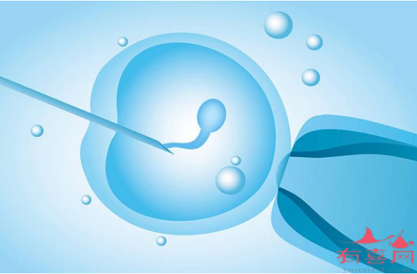 卵巢功能差能做试管婴儿吗
