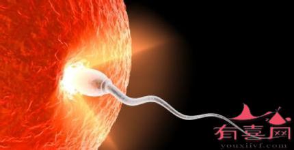 精子畸形率96%能做试管婴儿吗