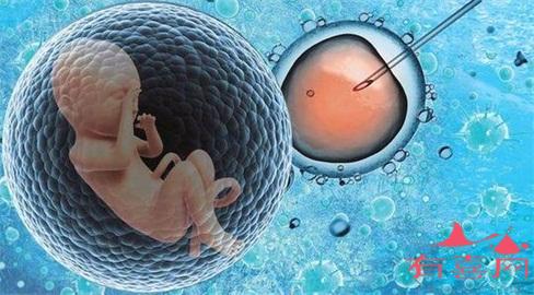 试管婴儿鲜胚与冻胚，哪种<a href='https://www.youxiivf.com/ptyizhi' title='胚胎移植' target='_blank'>胚胎移植</a>更好