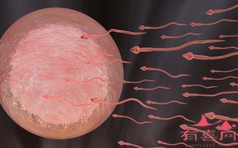 精子畸形率92%能做试管婴儿吗
