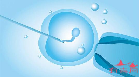 精子畸形率51%能做试管婴儿吗