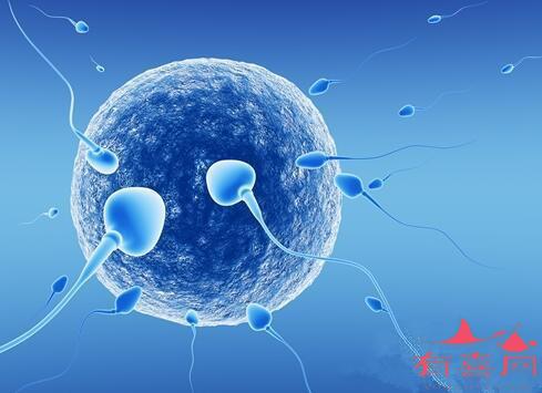 精子畸形率82%能做试管婴儿吗