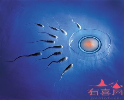 马来西亚第三代试管婴儿囊胚移植的优势