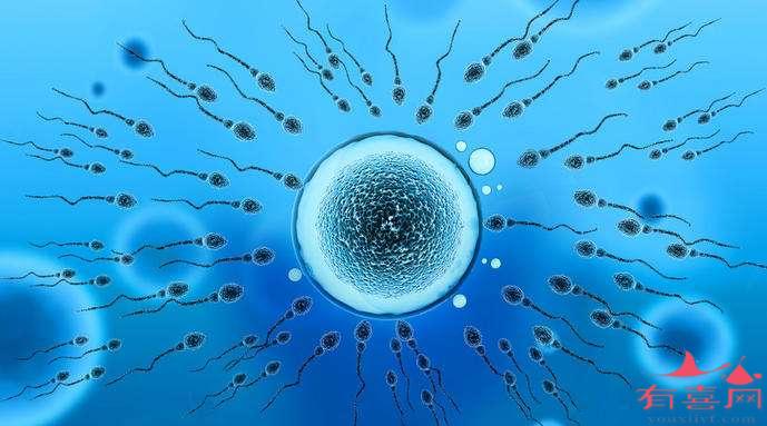 精子畸形率75%能做试管婴儿吗