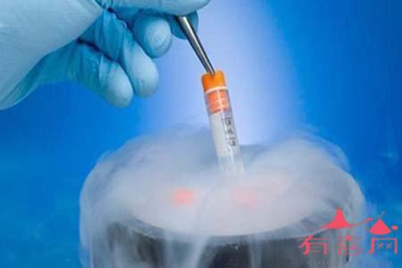 马来西亚做供卵试管婴儿移植成功率