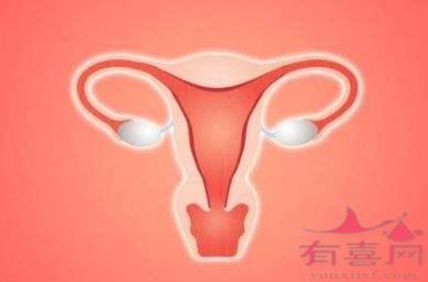 子宫内膜厚度8mm可以移植胚胎吗，怀孕成功率高吗