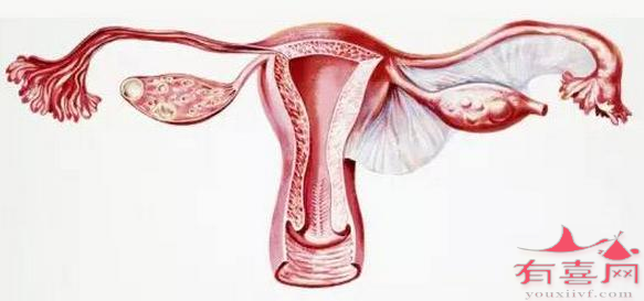 子宫内膜厚度9mm可以移植胚胎吗，怀孕成功率高吗