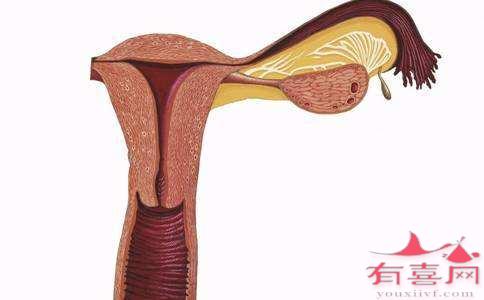 子宫内膜厚度11mm可以移植胚胎吗，怀孕成功率高吗