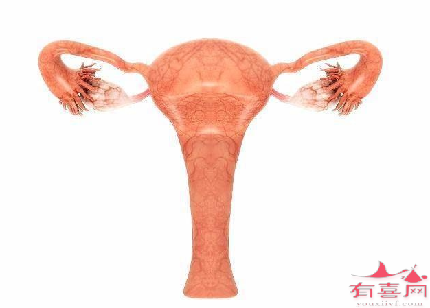 子宫内膜厚度13mm可以移植胚胎吗，怀孕成功率高吗