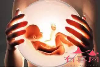 试管婴儿冻胚移植怎么算预产期