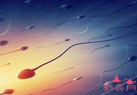 二代试管对精子的要求是什么