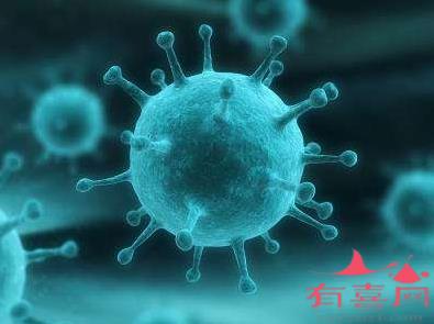单纯疱疹病毒2型IgM抗体是什么