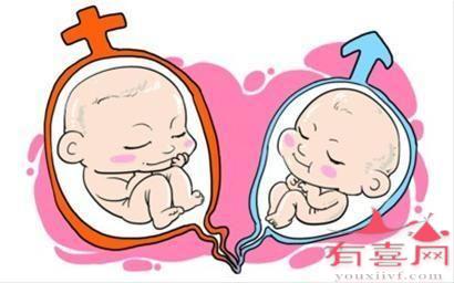 做试管婴儿双胞胎的几率大吗
