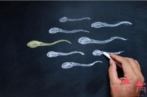 男性精子活力低可以进行做试管婴儿吗