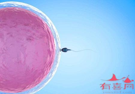 试管胚胎9c表示什么