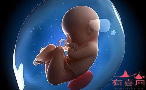 做试管婴儿胚胎移植后多久着床