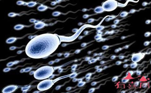 第二代试管对精子的要求有哪些