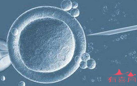 卵巢功能衰退能做供卵试管吗