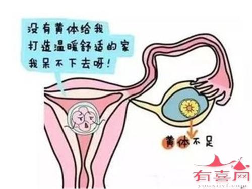 黄体素是什么，对卵巢的作用介绍
