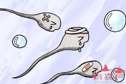 第二代试管对精子要求是什么