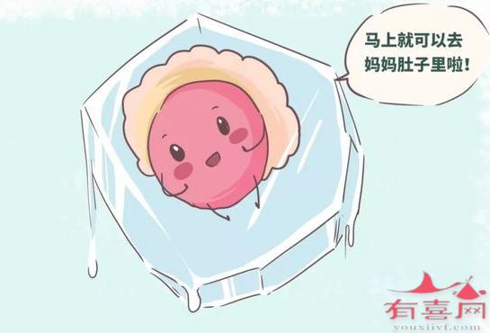 试管冻胚移植流程是怎样的