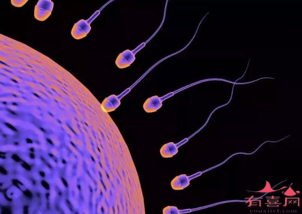 精子和卵子结合时身体有什么症状