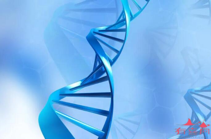 遗传疾病基因筛查检测有必要做吗