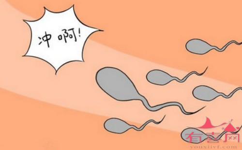 抗精子抗体怎样才能受孕
