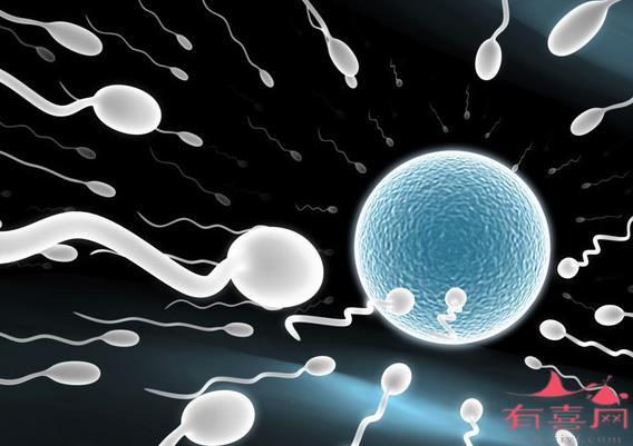 为什么射精子是颗粒状