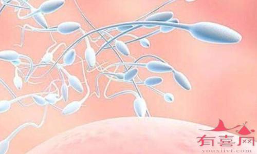 精子稀影响受孕吗