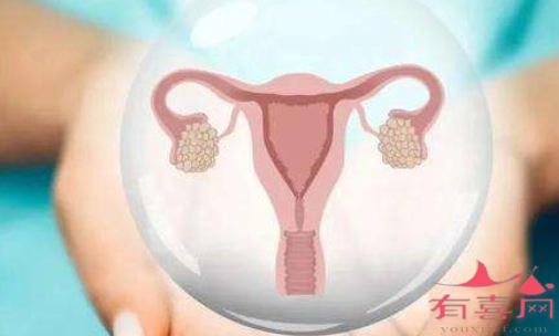 女性正常卵巢有几个窦卵泡