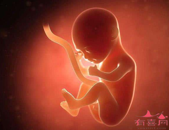 胚胎质量不好的表现有哪些