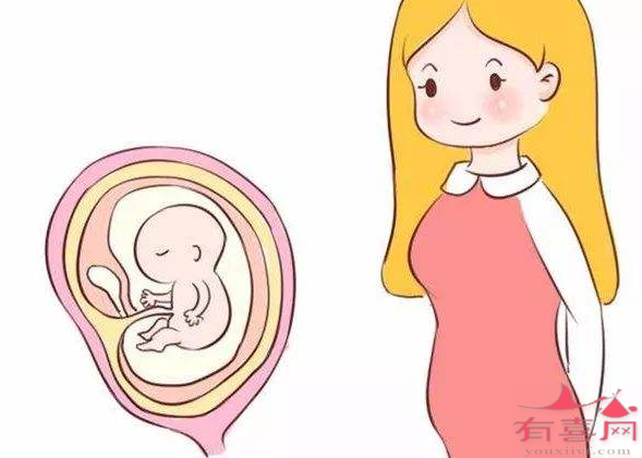 胚胎质量不好一般几周会胎停