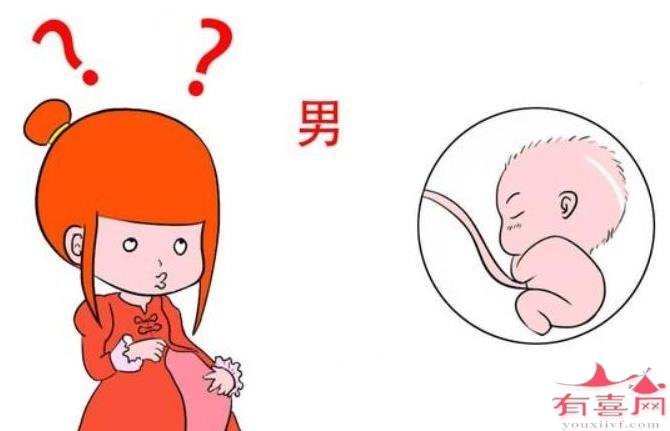香港人工受孕可以生男孩吗