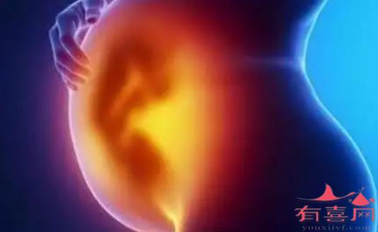 怀孕胚胎质量好的表现有哪些